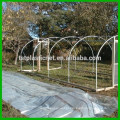 cheap poly cover film Giant Gro Tunnels